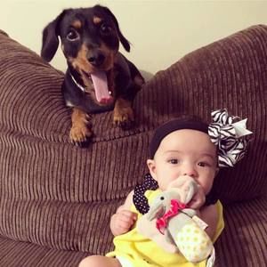 Meet your Posher, Pete